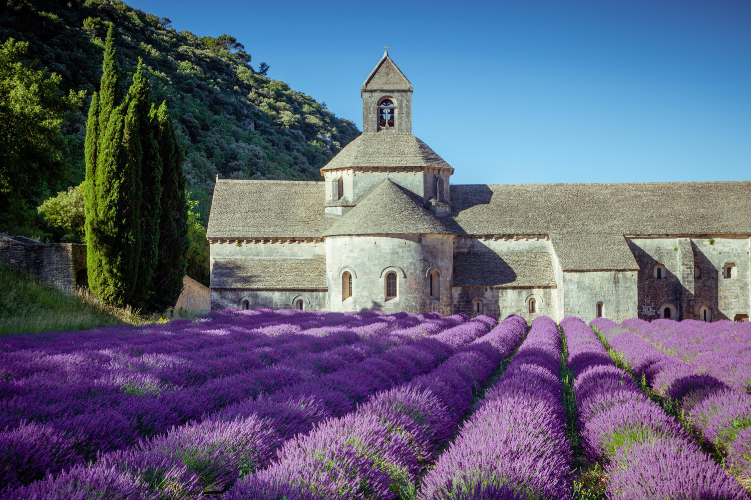 Le Mas de la Chapelle - La Région - Provence